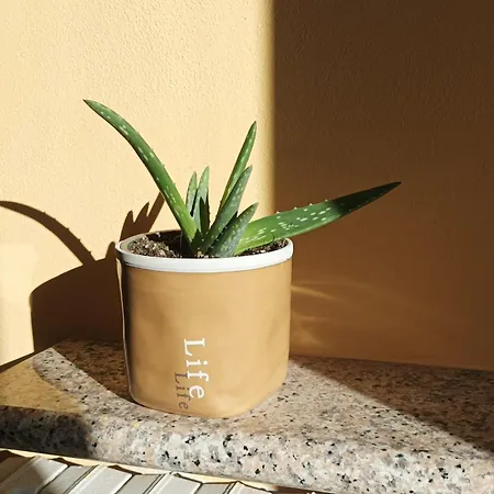 Bed and breakfast Da Pio Castello (Varese)