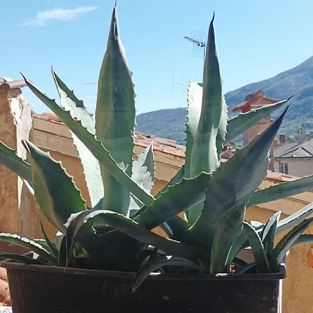 Da Pio 4* Castello (Varese)