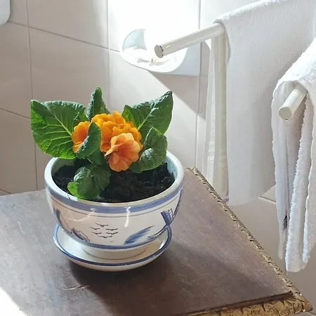 Bed and breakfast Da Pio 4*