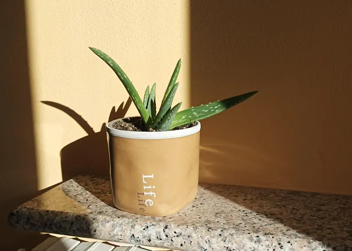 Bed & Breakfast Da Pio Castello (Varese)