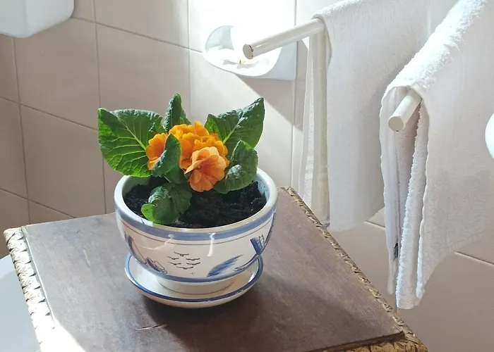 Bed & Breakfast Da Pio 4*