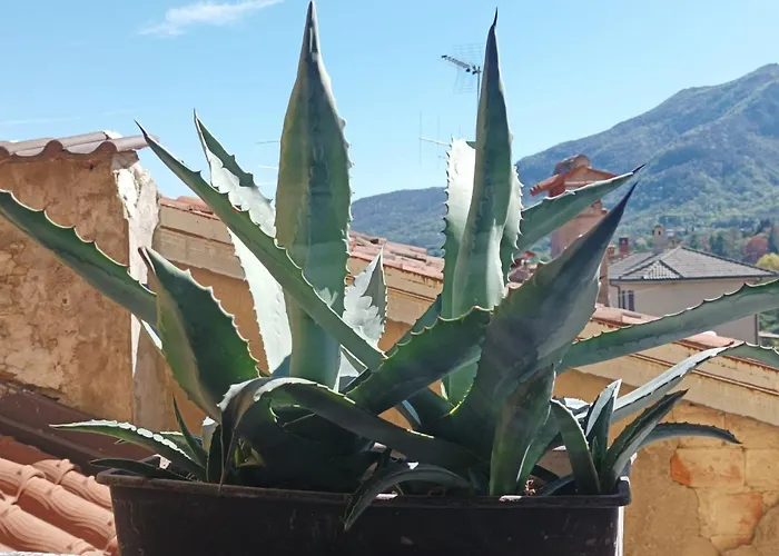 Da Pio 4* Castello (Varese)